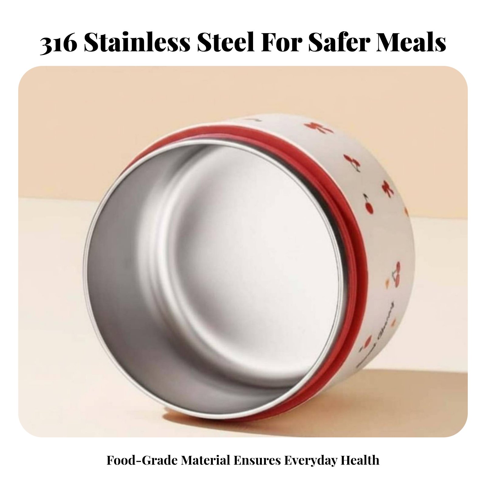 316 Stainless Steel Double-Tie - огляд і ціна Stainless Bento Box