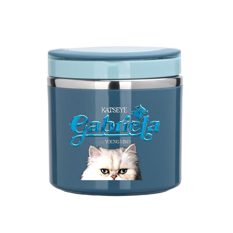 Katseye Food Thermal Jar Insul - огляд і ціна Stainless Bento Box